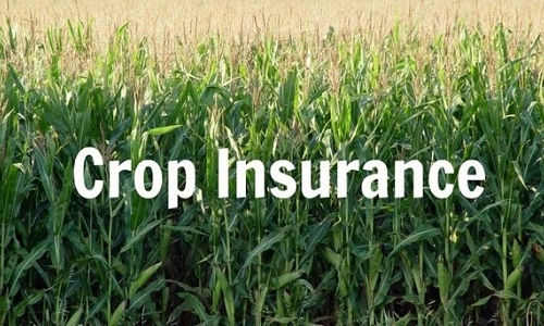 Crop Insurance: Features, Advantages and Disadvantages