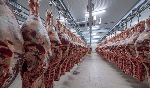 Meat Industry in India 2026: Size, Growth, Challenges, Forecast