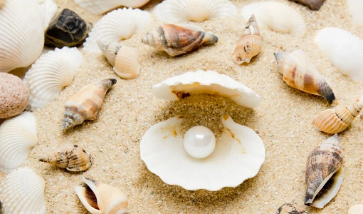 Pearl Industry in India 2026: Size, Growth, Challenges, Forecast