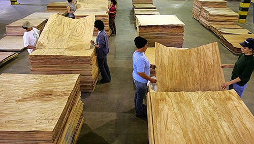 Plywood Industry in India 2026: Size, Growth, Challenges, Forecast