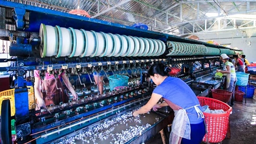 Silk Industry 