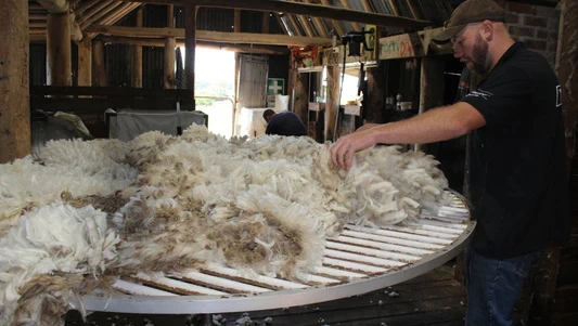 Wool Industry