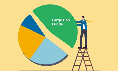 Large Cap Funds