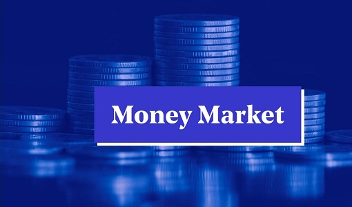 Money Market Funds: Features, Advantages, and Disadvantages